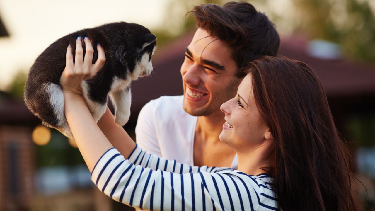 How to Choose the Right Pet for Your Lifestyle: Finding Your Perfect Companion