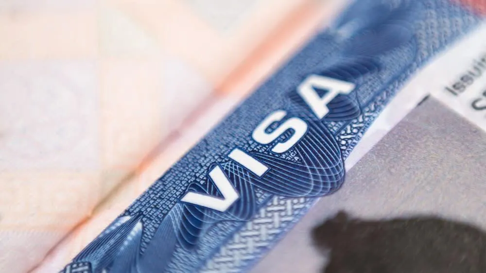 How to Check Visa Transfer Status in Qatar