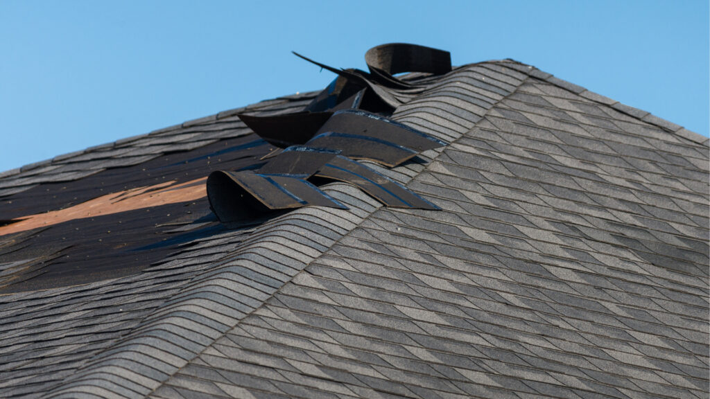 Replacing a Damaged Roof Shingle 1
